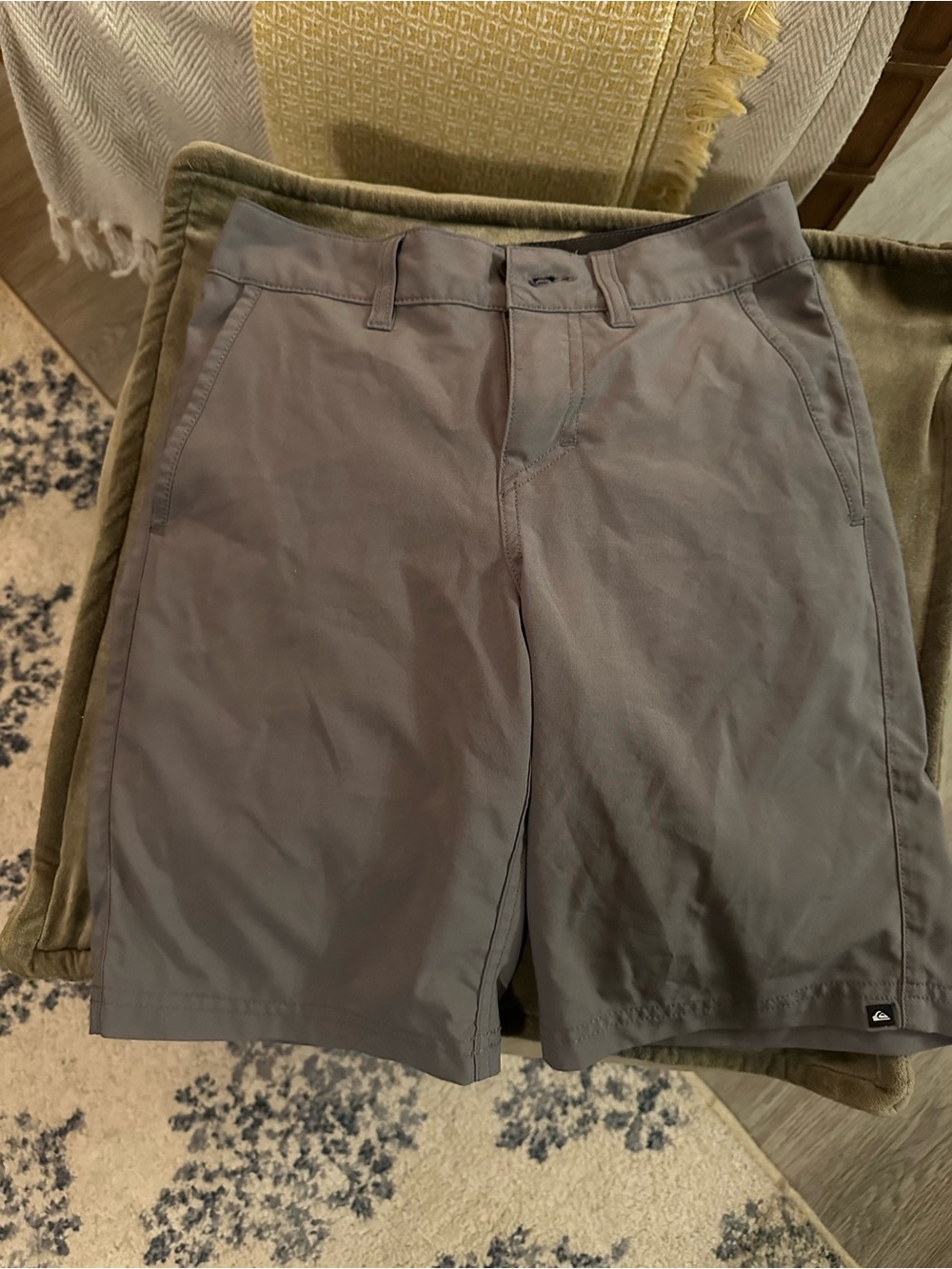 Quiksilver Amphibians Boy's Gray Shorts